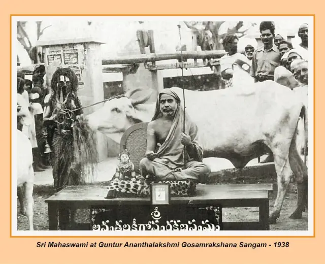 கோசாலை காட்சி